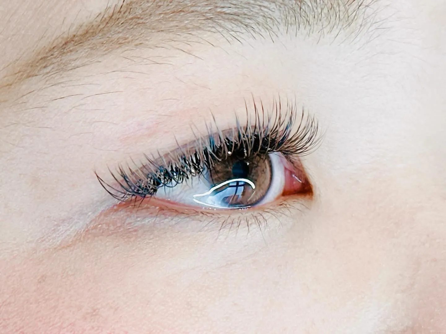 ベージュブラウンとブラック