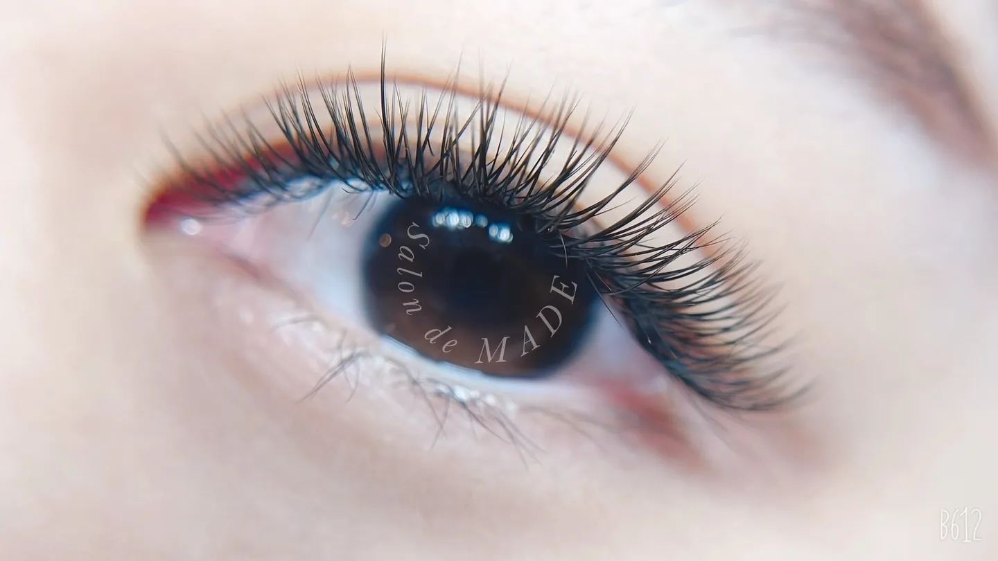 メガはバサバサだけじゃない！