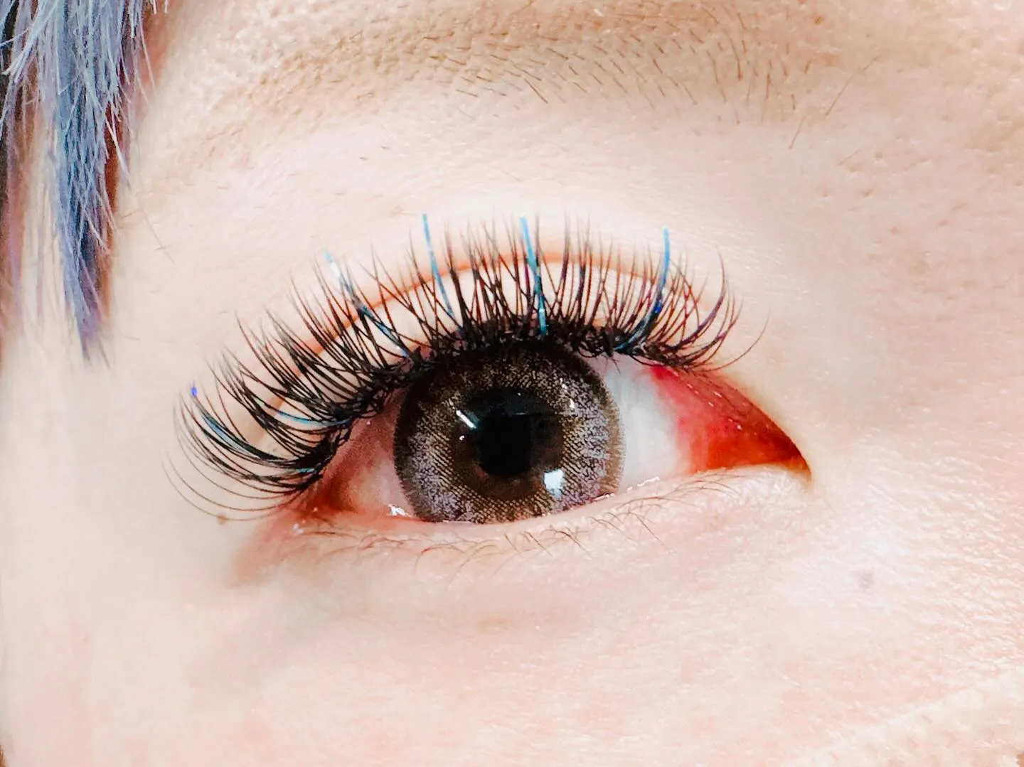 ✨#トゥリメルラッシュ 